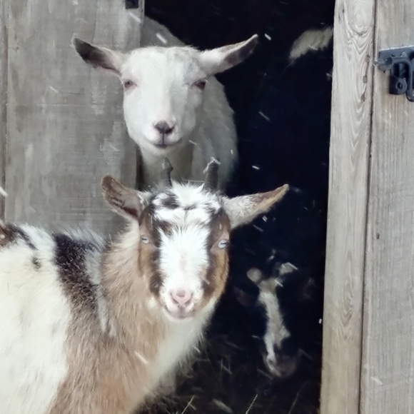 MEET MY KIDS! - Picture 7 of 10